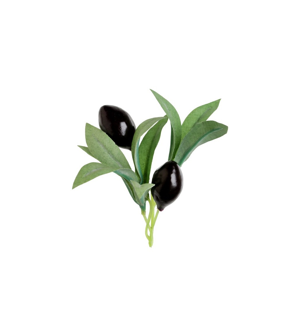 Dekorace olivy