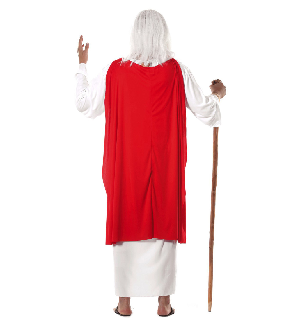 Kostým pro pány – druid