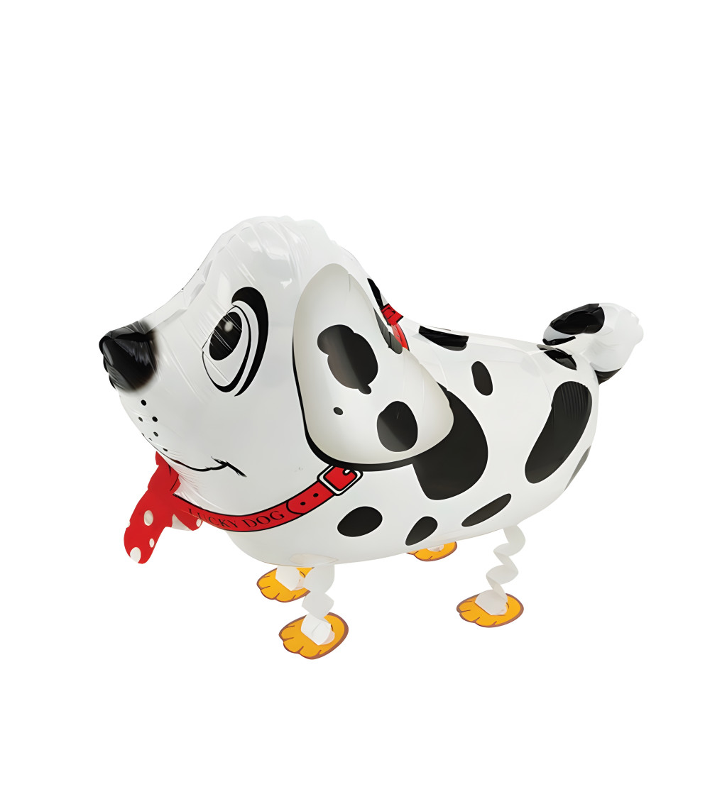 Chodící fóliový balónek – dalmatin