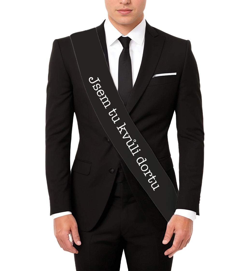 Jsem tu kvůli dortu – zábavná šerpa