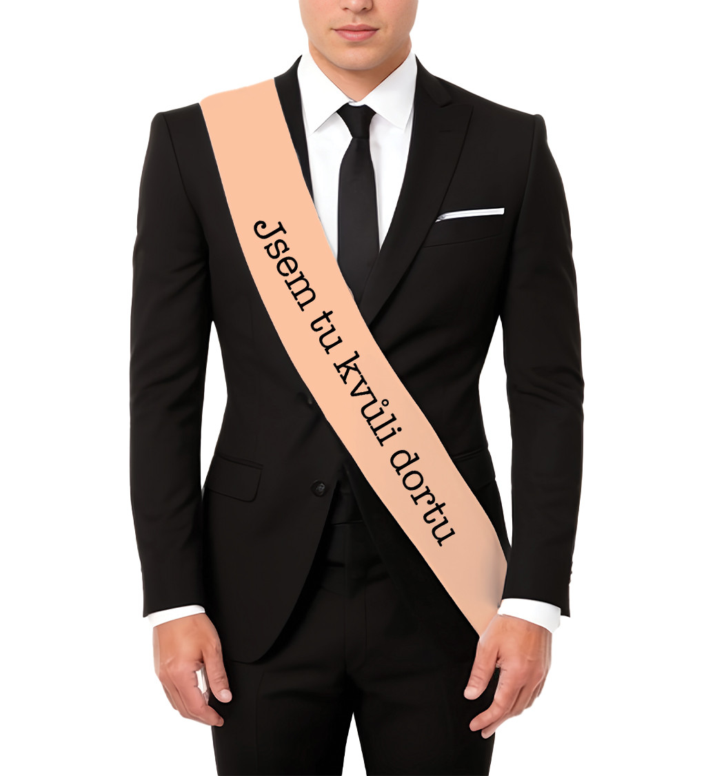 Jsem tu kvůli dortu – zábavná šerpa