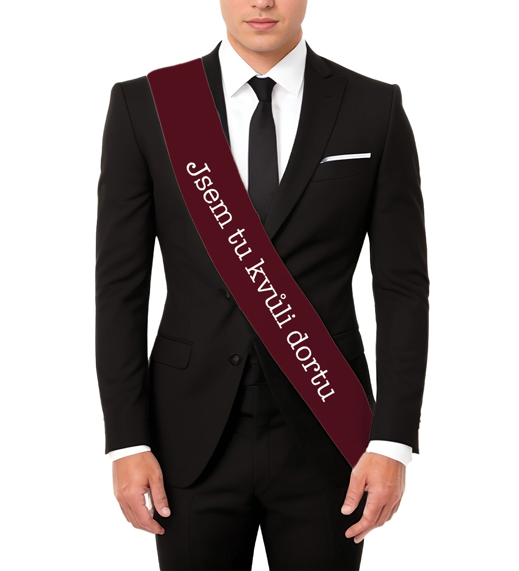 Jsem tu kvůli dortu – zábavná šerpa