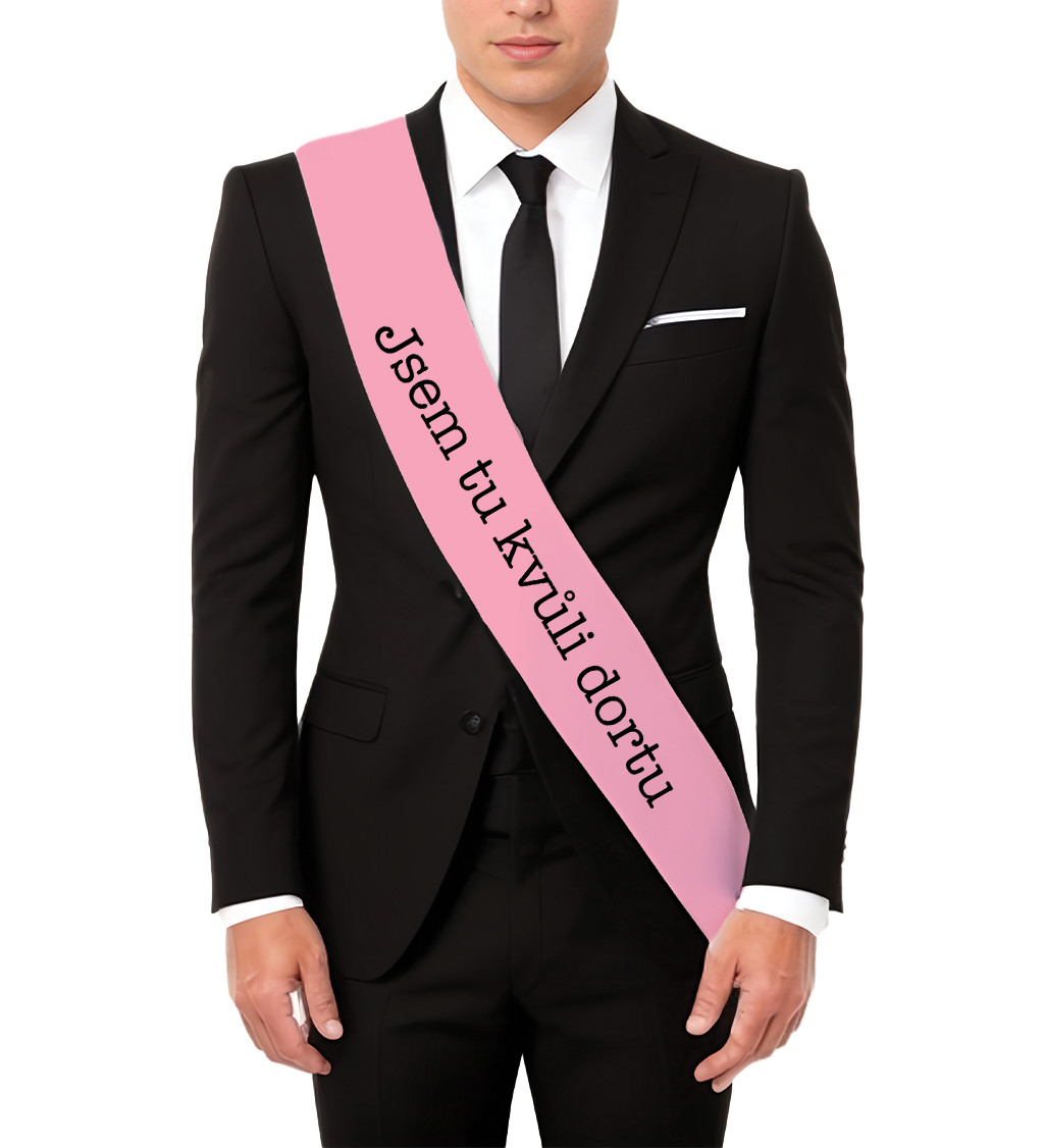 Jsem tu kvůli dortu – zábavná šerpa