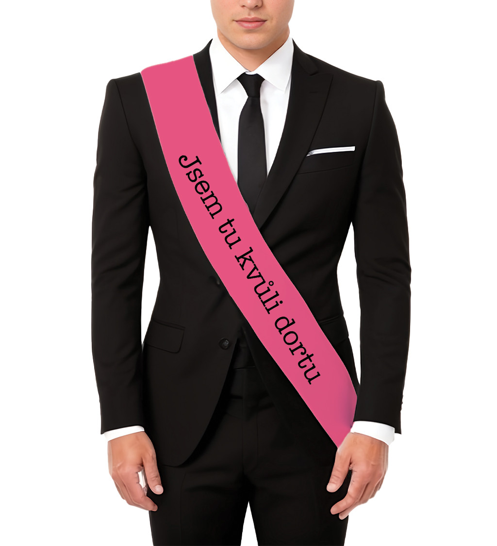 Jsem tu kvůli dortu – zábavná šerpa