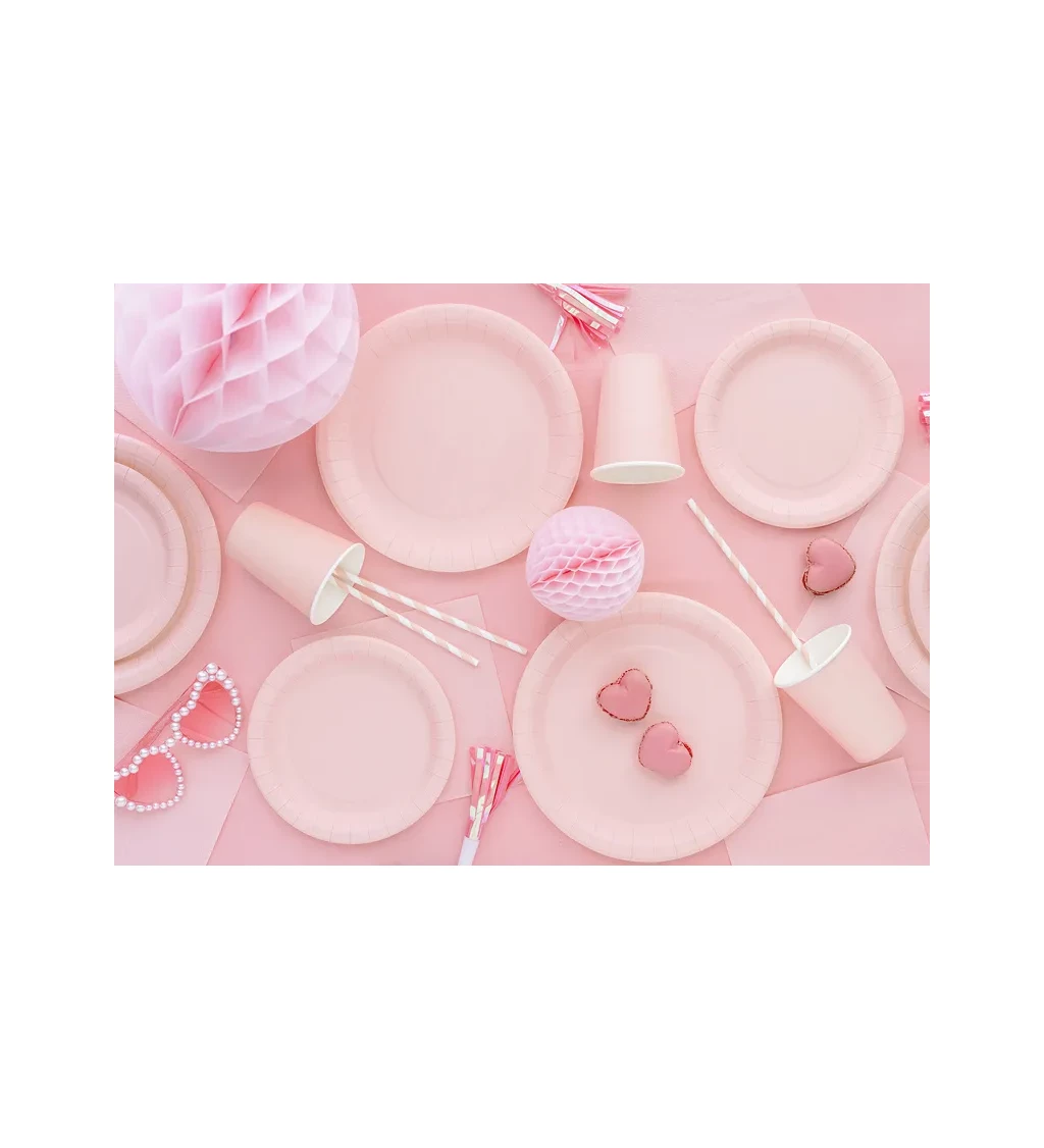 Světle růžové talířky 23 cm (6 ks)