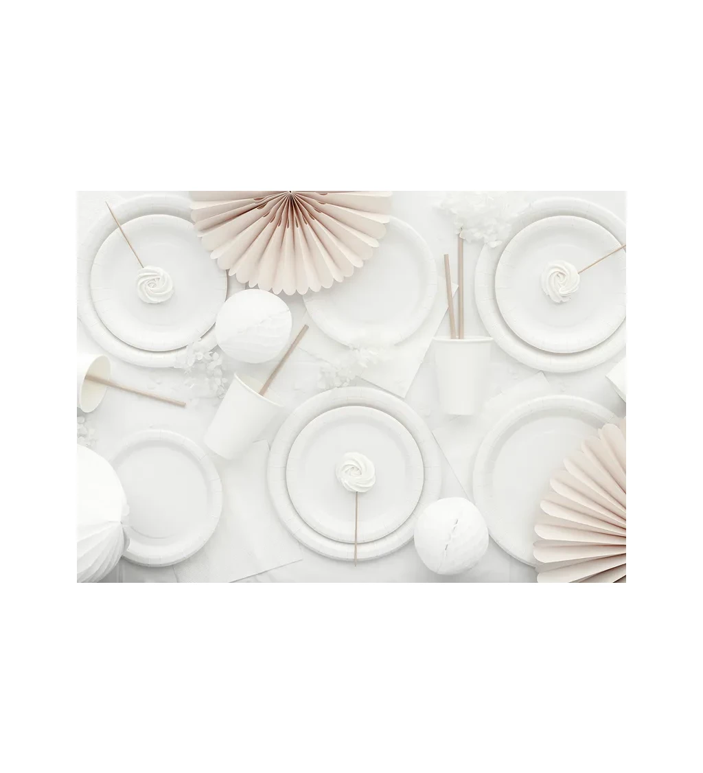 Bílé talířky 23 cm (6 ks)