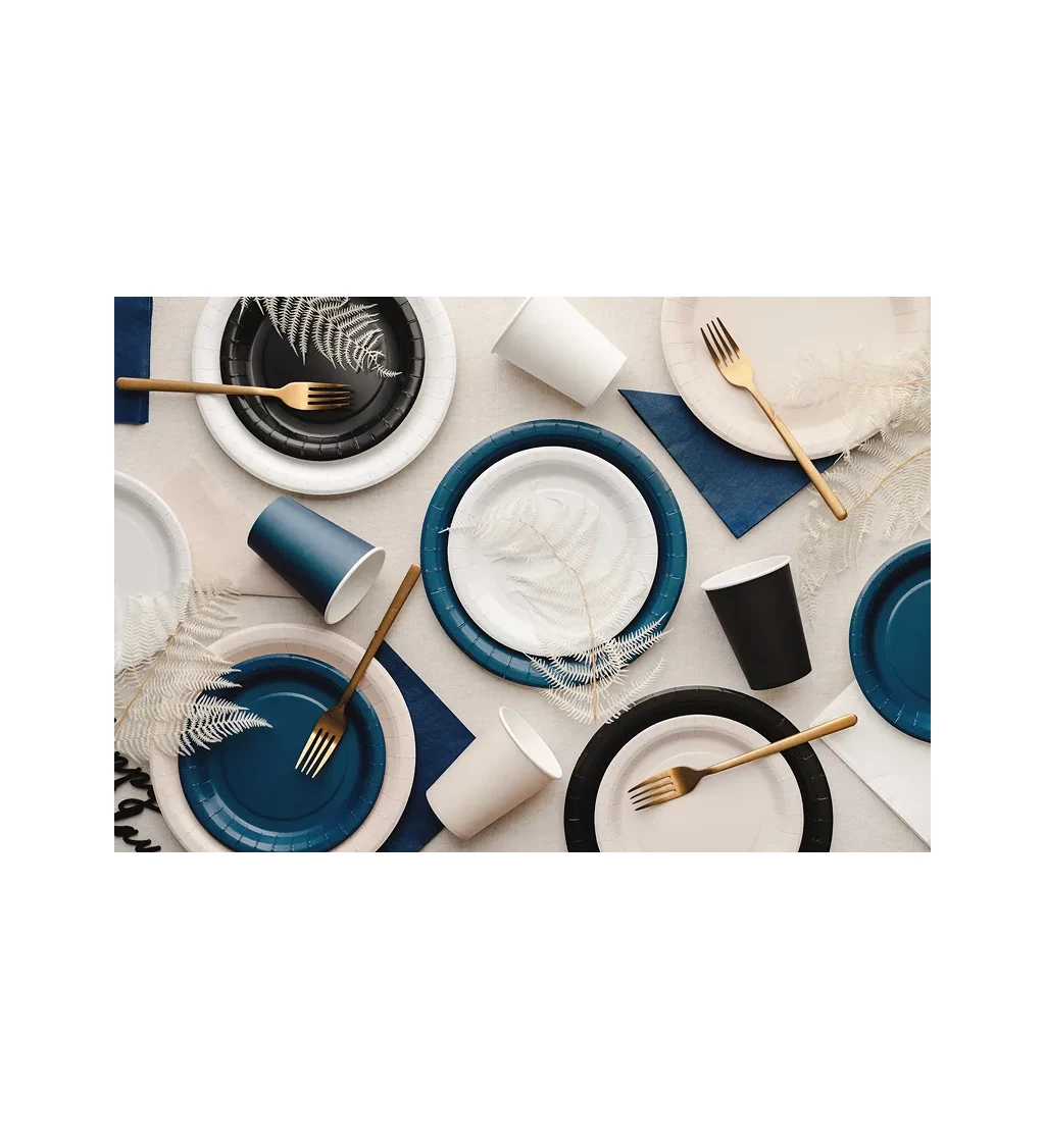 Černé talířky 23 cm (6 ks)