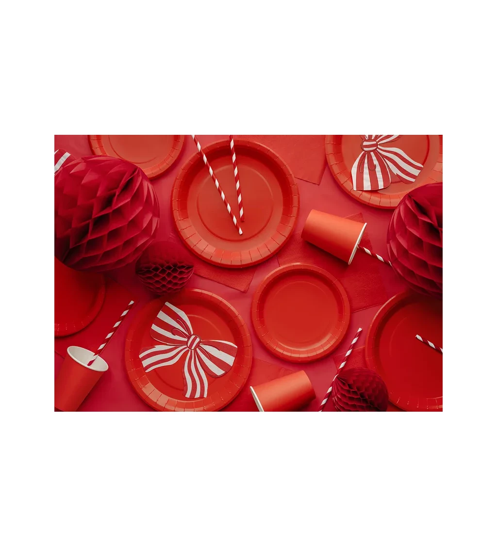 Červené talířky 23 cm (6 ks)