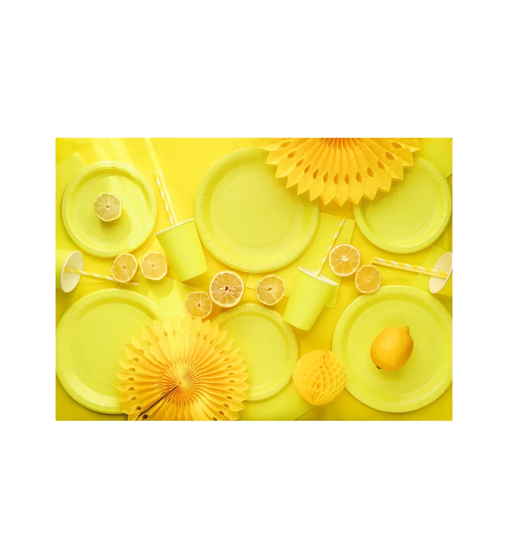 Žluté talířky 23 cm (6 ks)
