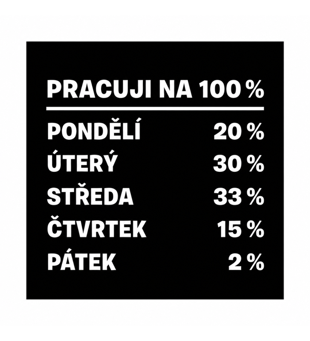 Dámské triko černé - Pracuji na 100%