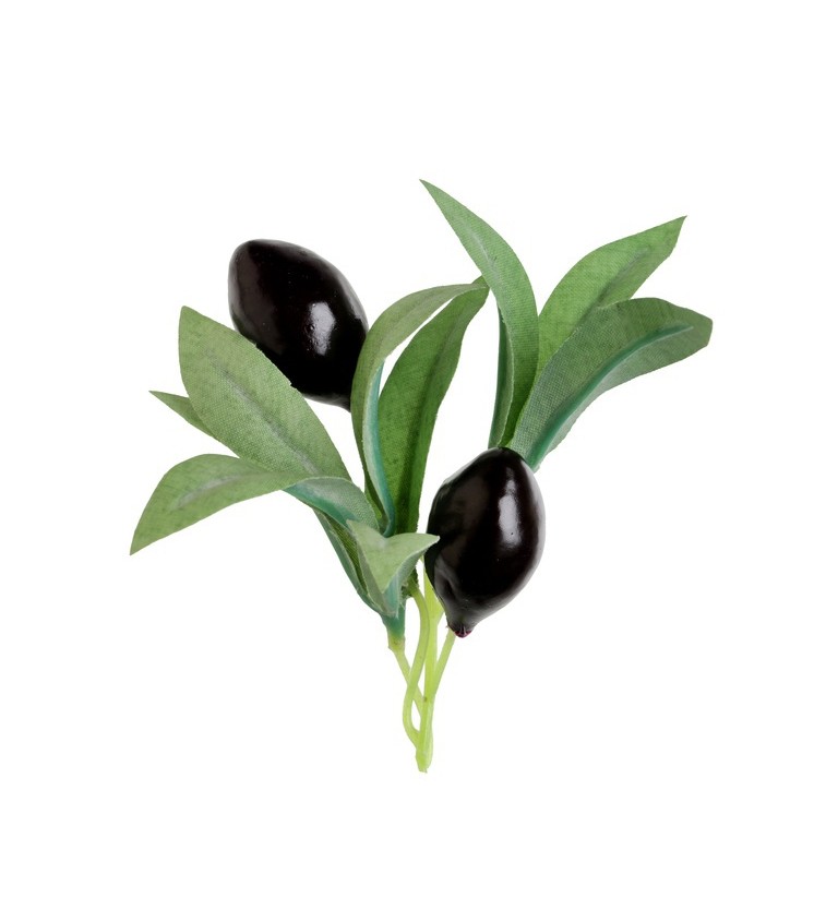 Dekorace olivy