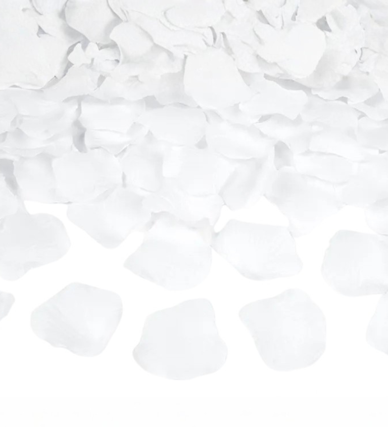 Bílé okvětní lístky růží